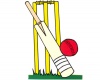 Cricket 1